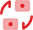 Multi-currency account icon.